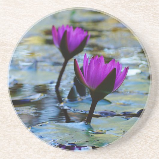 Wasserlilien Untersetzer (Vorne)