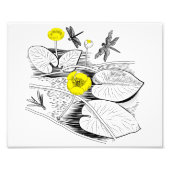 Wasserliliengravur Fotodruck (Vorne)