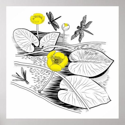 Wasserliliengravur Poster (Vorne)