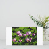 Wasserliliken (Stehend Vorderseite)