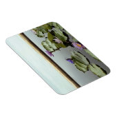 Wasserliliken im Teich durch den Ozean Magnet (Rechte Seite)