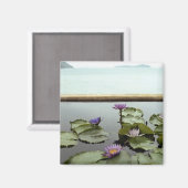 Wasserliliken im Teich durch den Ozean Magnet (Vorderseite/Rückseite)