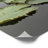 Wasserliliken im Teich durch den Ozean Poster (Ecke)
