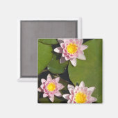 Wasserliliken Magnet (Vorderseite/Rückseite)