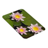 Wasserliliken Magnet (Rechte Seite)