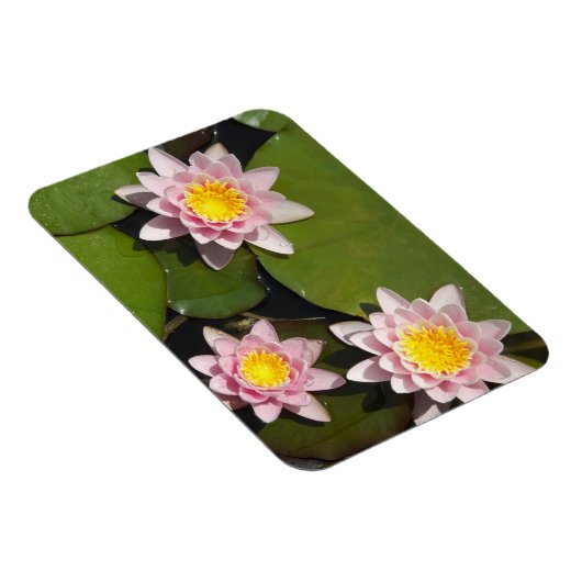 Wasserliliken Magnet (Rechte Seite)