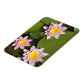 Wasserliliken Magnet (Linke Seite)