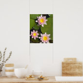 Wasserliliken Poster (Küche)