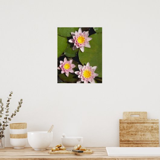 Wasserliliken Poster (Küche)