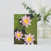 Wasserliliken Postkarte (Stehend Vorderseite)
