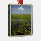 Wasserliliken und Sägerichte in Florida Everglades Ornament Aus Metall (Rechts)