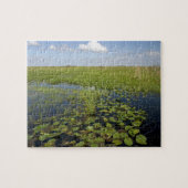 Wasserliliken und Sägerichte in Florida Everglades Puzzle (Horizontal)