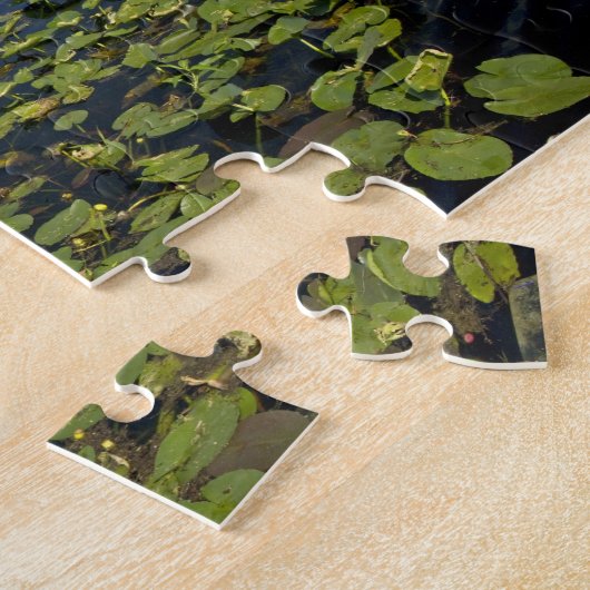 Wasserliliken und Sägerichte in Florida Everglades Puzzle (Seite)