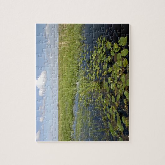 Wasserliliken und Sägerichte in Florida Everglades Puzzle (Vertikal)