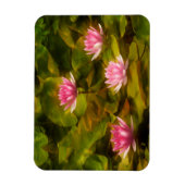 Wasserlilililis, Kalifornien Magnet (Vertikal)