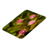 Wasserlilililis, Kalifornien Magnet (Linke Seite)