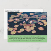 Wasserlille Stille Postkarte (Vorne/Hinten)