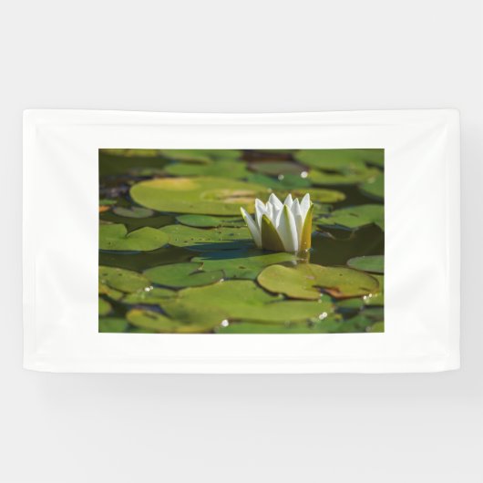 Wasserlily Blossom Banner (Horizontal)