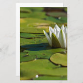 Wasserlily Blossom Briefpapier (Vorne/Hinten)