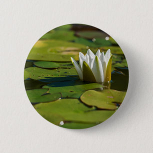 Wasserlily Blossom Button