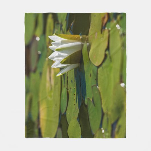 Wasserlily Blossom Fleecedecke (Vorderseite)