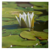 Wasserlily Blossom Fliese (Vorderseite)