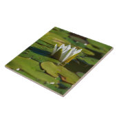 Wasserlily Blossom Fliese (Seite)