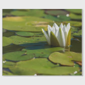 Wasserlily Blossom Geschenkpapier (Flach)
