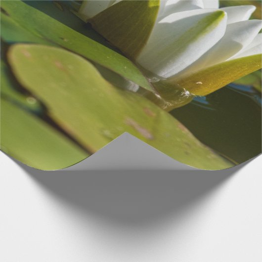 Wasserlily Blossom Geschenkpapier (Ecke)