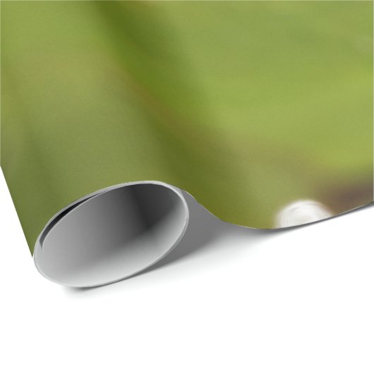 Wasserlily Blossom Geschenkpapier (Rolleneckpunkt)