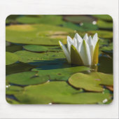 Wasserlily Blossom Mousepad (Vorne)