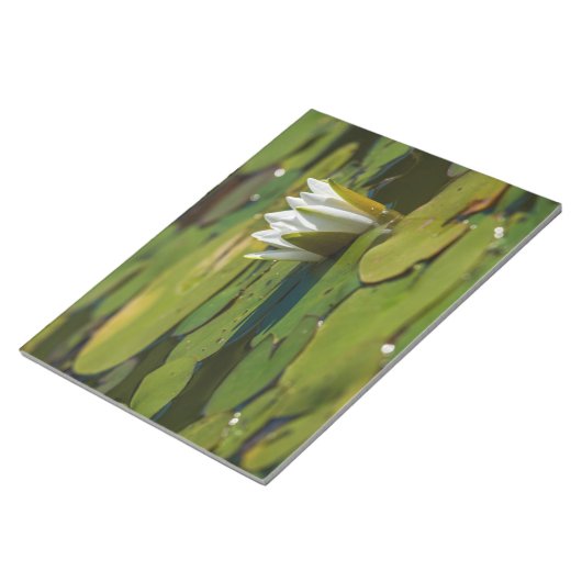 Wasserlily Blossom Notizblock (angewinkelt)