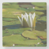 Wasserlily Blossom Steinuntersetzer (Vorderseite)
