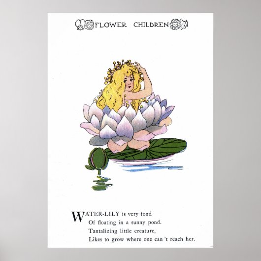 Wasserlily Poster (Vorne)