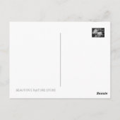 Wasserlily-Teich [Postkarte] Postkarte (Rückseite)