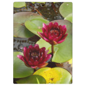 Wasserlippe Klemmbrett (Rückseite)