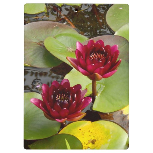 Wasserlippe Klemmbrett (Rückseite)