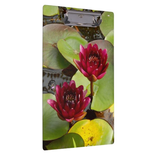 Wasserlippe Klemmbrett (Rechts)