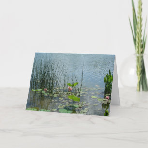 Wasserlippenteich Karte