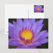 Wasserlischlauch Postkarte (Vorne/Hinten)