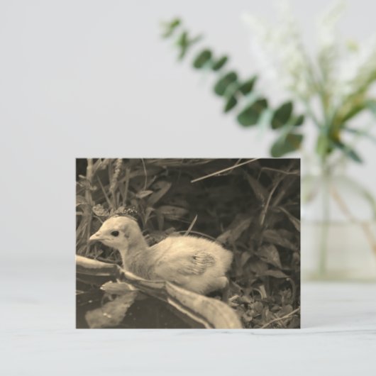 Wasserloch - postkarte (Stehend Vorderseite)