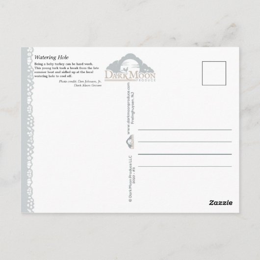 Wasserloch - postkarte (Rückseite)