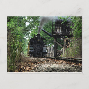 Wasserloch Postkarte