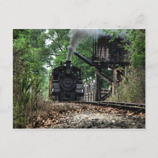 Wasserloch Postkarte (Vorderseite)