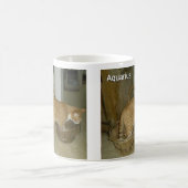 Wassermann-Katzen-Tierkreis-Zeichen-Tasse Kaffeetasse (Mittel)