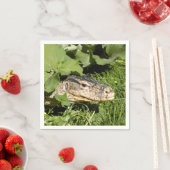 Wassermeldeeise Serviette (Beispiel)