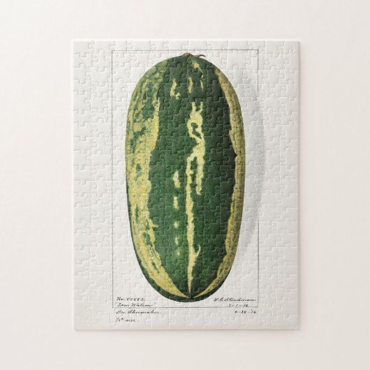 Wassermelon (Citrullus Lanatus) Fruchtbespannung Puzzle (Vertikal)