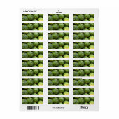 Wassermelone am Markt (Vorne)