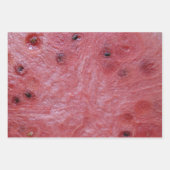 Wassermelone Geschenkpapier Set (Vorderseite 3)