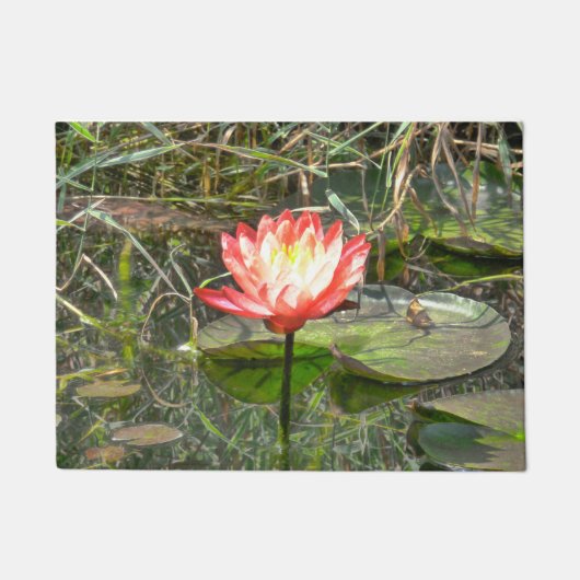 Wassermelone-Lilie Fußmatte (Vorderseite)